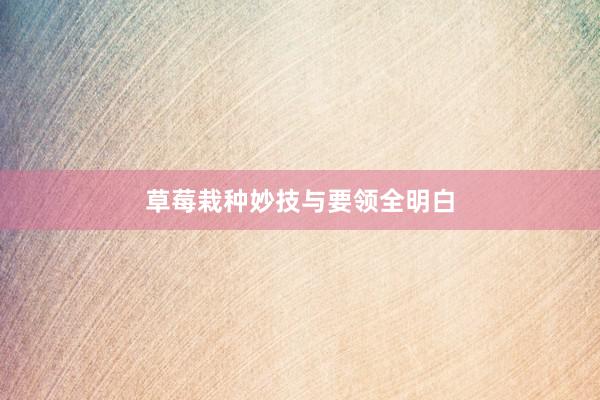 草莓栽种妙技与要领全明白