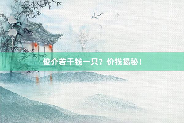 俊介若干钱一只？价钱揭秘！