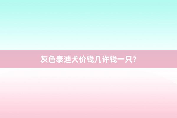 灰色泰迪犬价钱几许钱一只?